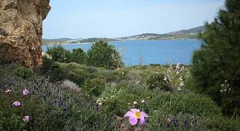 Süheyl Ünver’in defterleri şenlikli bayram yeridir. Ne var ki hüznü